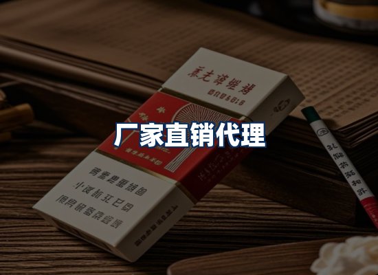 专业团队办公环境